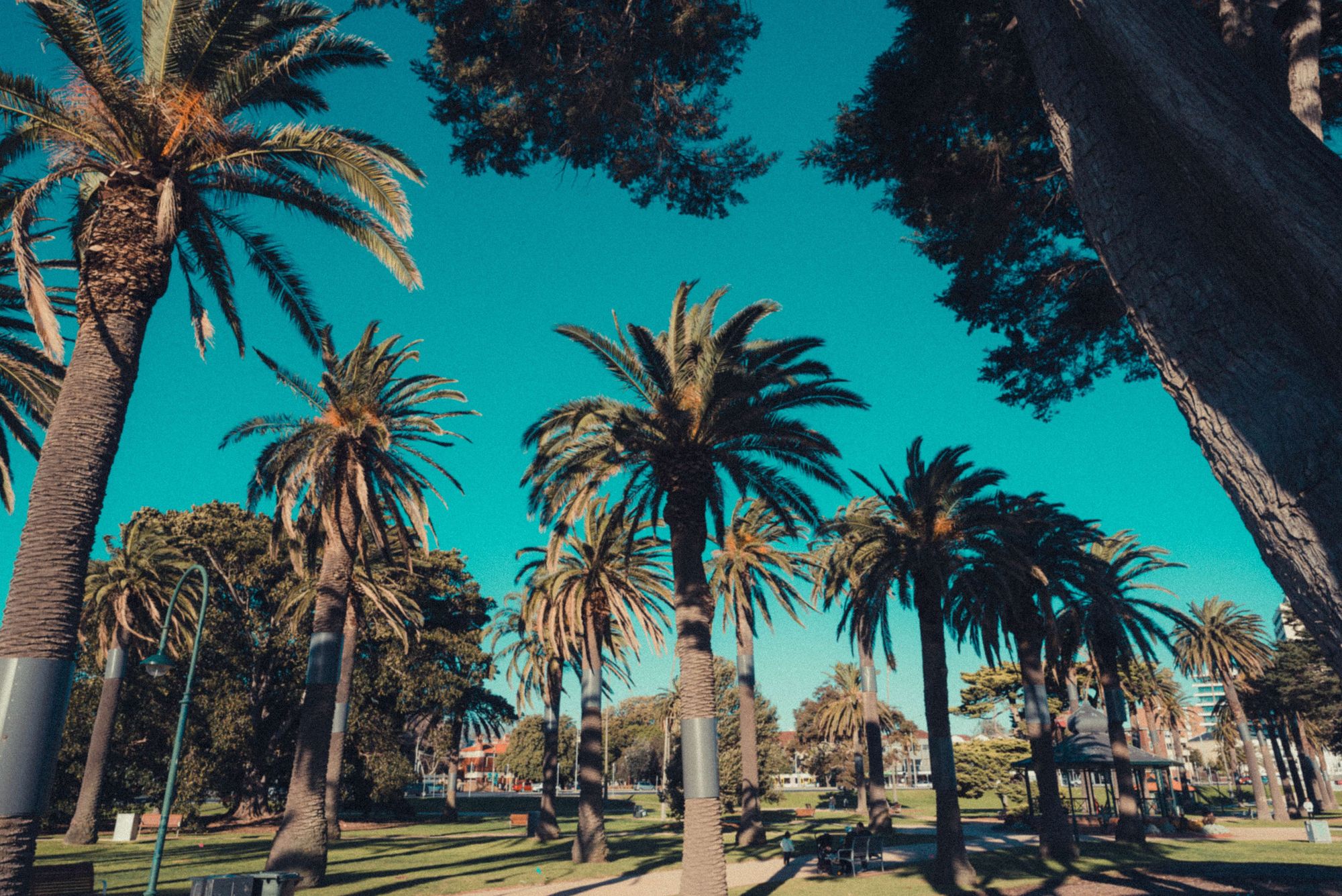 نحوه استفاده از Tumblr