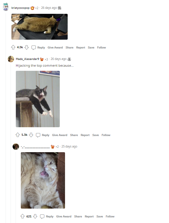 تصاویر Reddit در نظرات