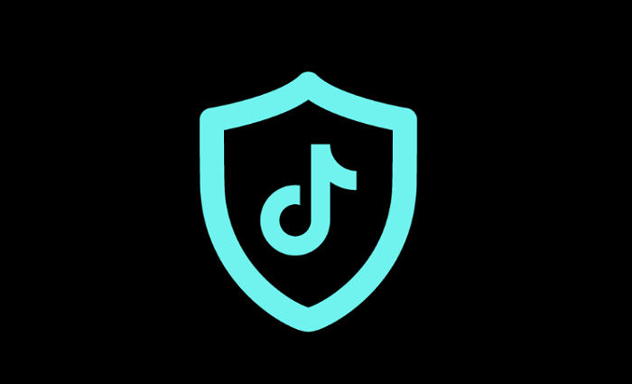 TikTok مقررات استفاده از داده را مطابق با قوانین منطقه ای در حال تحول به روز می کند